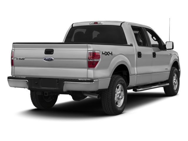 Used 2013 Ford F-150 XLT with VIN 1FTFW1ET9DFA18419 for sale in Fergus Falls, Minnesota