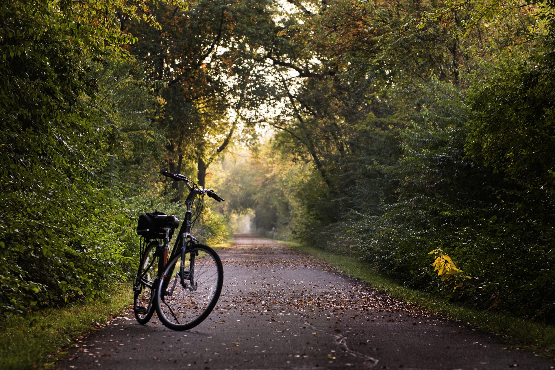 3 Favorite Biking Trails in Driving Distance of Fergus Falls, MN