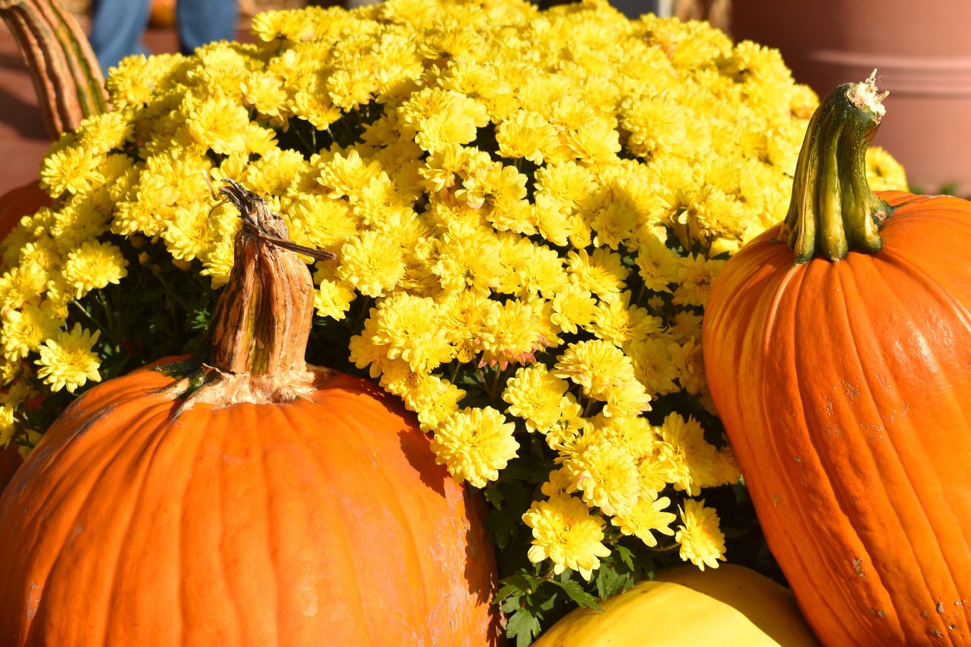 5 Fall Activities You Can Drive to From Fergus Falls, MN
