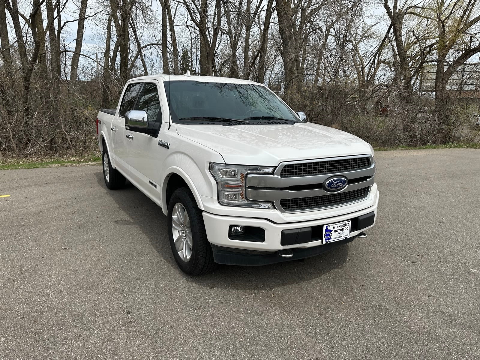Used 2019 Ford F-150 Platinum with VIN 1FTFW1E10KFA35931 for sale in Fergus Falls, Minnesota